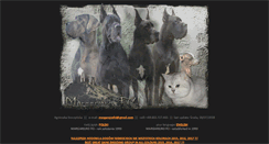 Desktop Screenshot of margarejro.pl